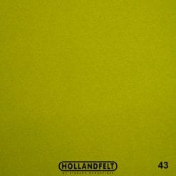 43 moss green