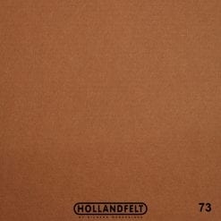 73 camel