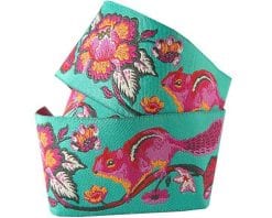 Pink-Orange on Turquoise Chipmunk ribbon-TULA PINK - 1-1/2"- by the yard